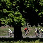 'Visión sombría' cuando aparece un video del conductor burlándose de un ciclista herido en Richmond Park