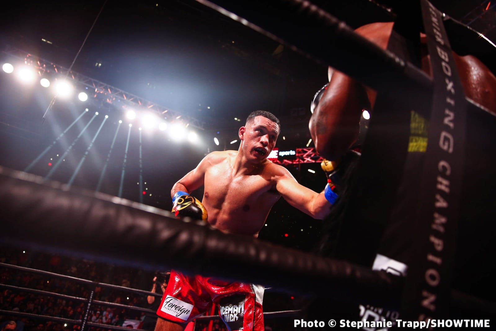 Caleb Plant, Canelo Alvarez, David Benavidez foto de boxeo e imagen de noticias
