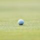 Rusty Strawn, otros lideran Golfweek Player of the Year Classic después de la primera ronda