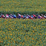 ¿Cuánto dura el Tour de Francia?