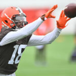 El receptor abierto de los Cleveland Browns, David Bell.  (Ken Blaze-USA TODAY Deportes)