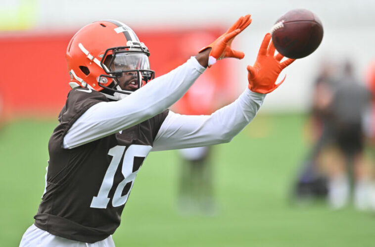 El receptor abierto de los Cleveland Browns, David Bell.  (Ken Blaze-USA TODAY Deportes)