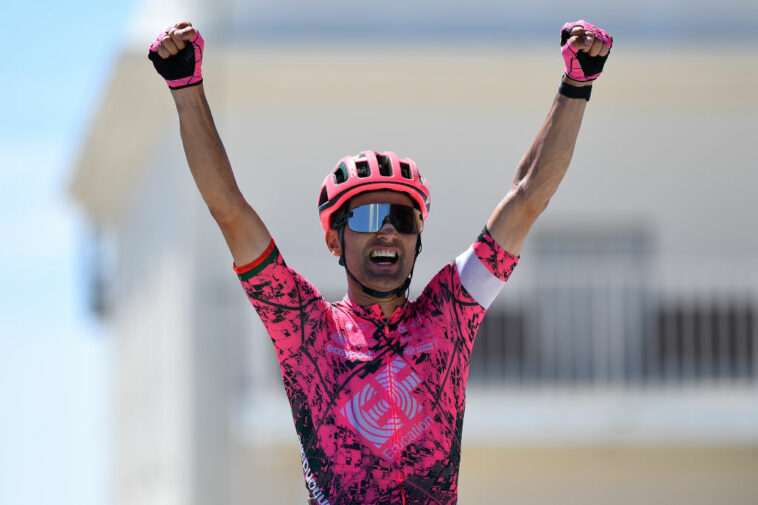 Guerreiro gana en solitario el Mont Ventoux Dénivelé Challenge