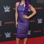 Según los informes, Sasha Banks ha sido liberada por la WWE.