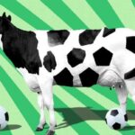 Ilustración de una vaca transformándose en una pelota de fútbol