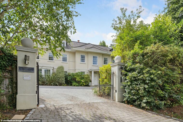 La leyenda de la Premier League Didier Drogba, de 44 años, ha puesto a la venta su mansión de seis habitaciones y 11,000 pies cuadrados en Surrey.