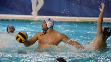 Liga Regional: ¿Puede alguien destronar a Novi Beograd?  - Waterpolo total