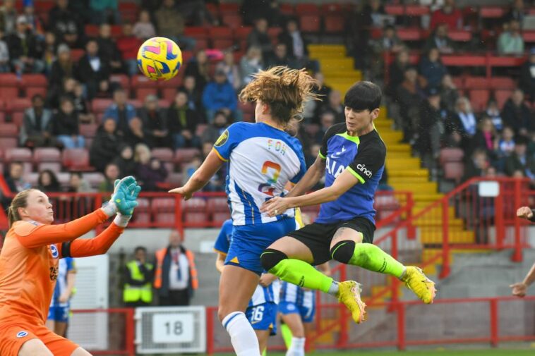 Brighton and Hove Albion v Tottenham Hotspur - Superliga Femenina Barclays FA