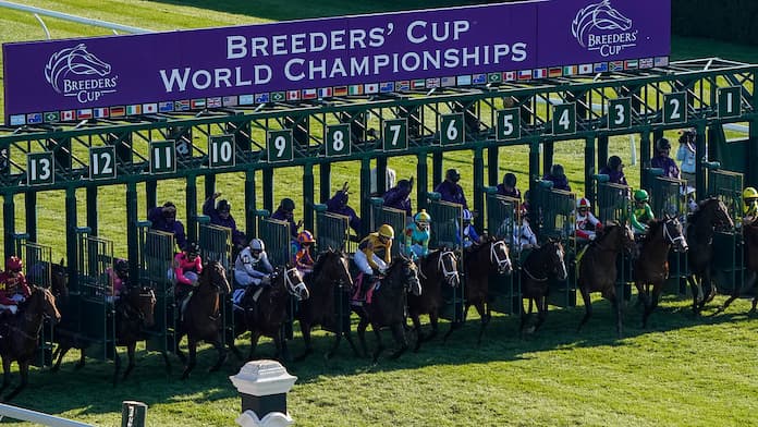 Cómo apostar en la Breeders Cup con los sitios de apuestas deportivas de Alaska para carreras de caballos