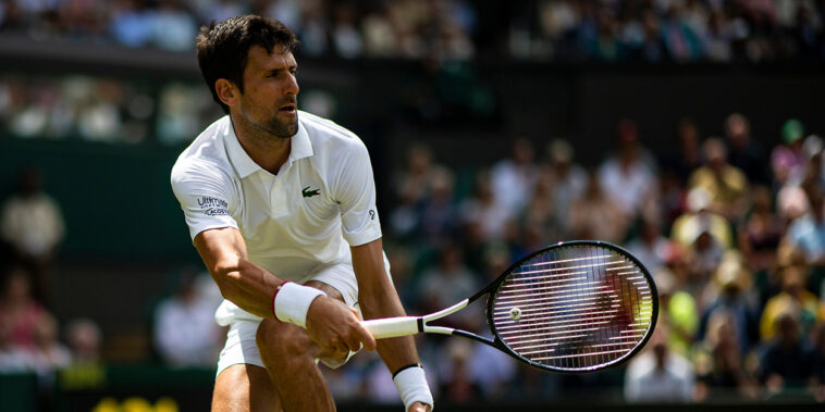 Novak Djokovic agachado en Wimbledon 2019