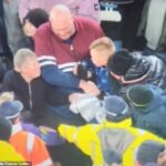 Un jubilado captado por la cámara tratando de arrebatarle la camiseta de un jugador del Newcastle de las manos a un niño de 11 años está