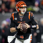 Joe Burrow, Bengalíes de Cincinnati, NFL