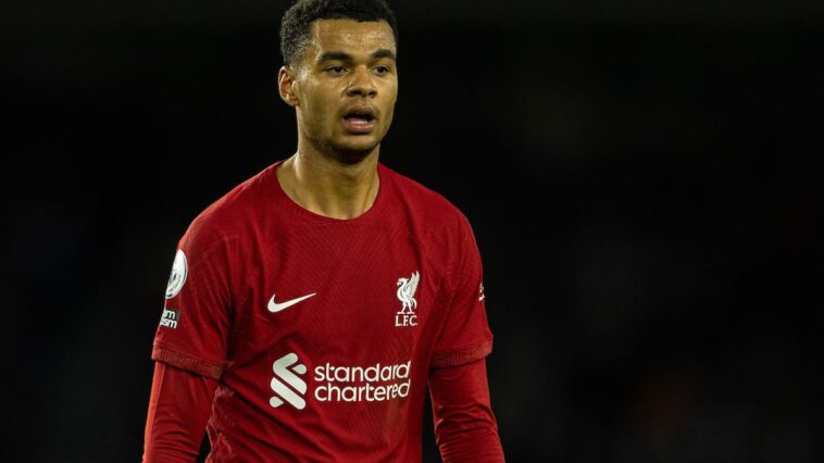 BRIGHTON & HOVE, INGLATERRA - Sábado, 14 de enero de 2023: Cody Gakpo de Liverpool durante el partido de la FA Premier League entre Brighton & Hove Albion FC y Liverpool FC en el Falmer Stadium.  (Foto de David Rawcliffe/Propaganda)