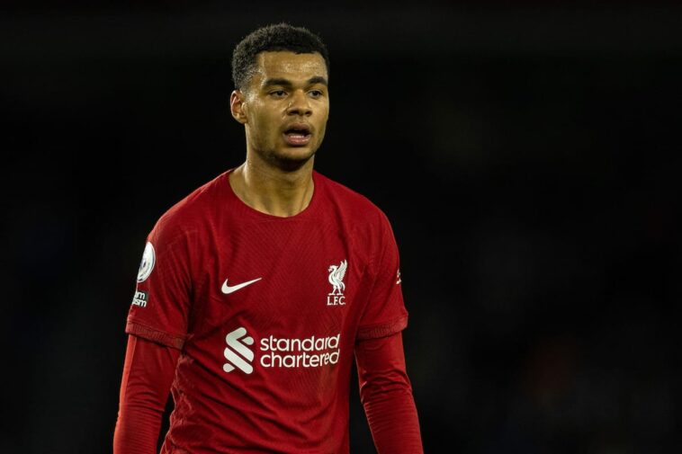 BRIGHTON & HOVE, INGLATERRA - Sábado, 14 de enero de 2023: Cody Gakpo de Liverpool durante el partido de la FA Premier League entre Brighton & Hove Albion FC y Liverpool FC en el Falmer Stadium.  (Foto de David Rawcliffe/Propaganda)