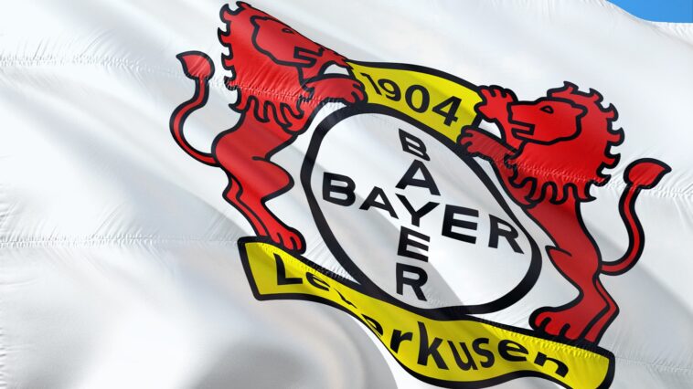 El Leverkusen fichará refuerzos para el canterano