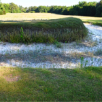 Empresa propone reabrir campo de golf en el área de Augusta, pero hay trampa