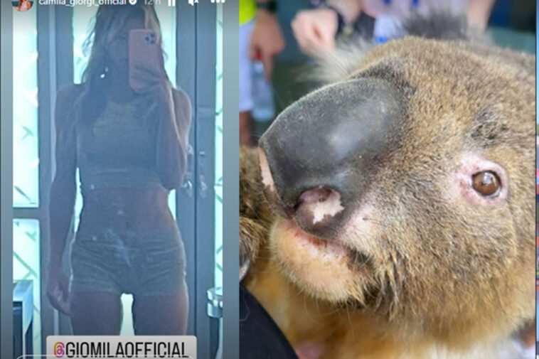 La tenista Camila Giorgi deleita a sus fans en tierna toma con un Koala