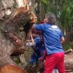 Leonel Álvarez, DT de Cienciano, mueve maderas de la carretera para poder ir a los entrenamientos