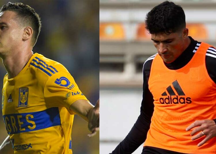 Tigres: Nicolás Ibáñez en riesgo de no jugar la Jornada 4 por caso Florian Thauvin