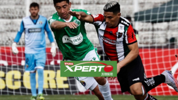 Palestino recibe a Audax en el debut » Prensafútbol