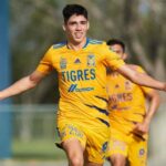 Tigres UANL y Pachuca incluyen a un canterano en las negociaciones por Nico Ibáñez