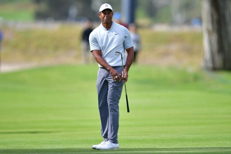 Tiger Woods observa su tiro desde la calle al green en el hoyo 11 durante la tercera ronda de The Genesis Invitational.