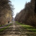 Los adoquines de la París-Roubaix pasan la inspección de los organizadores, se espera tiempo seco