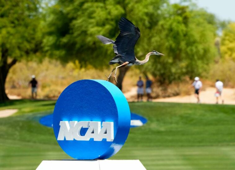 Con 36 hoyos completos, ¿qué hemos aprendido del Campeonato de golf masculino de la NCAA de 2023?