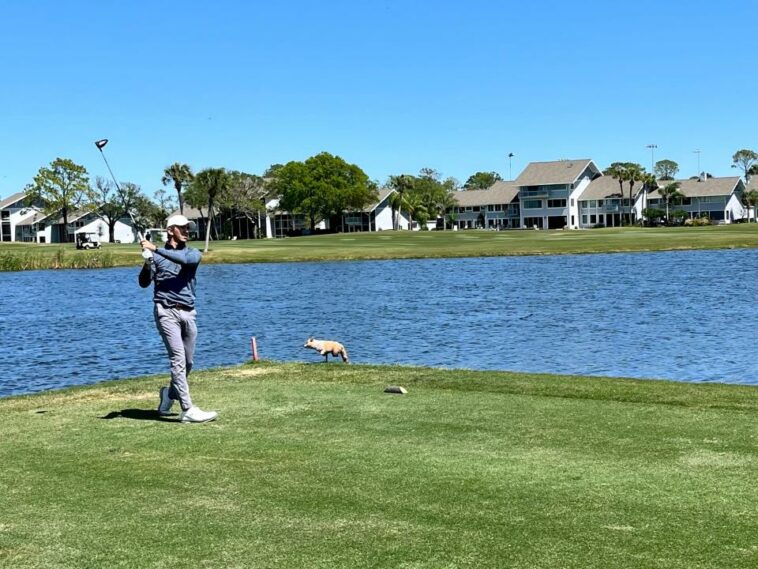 Robbie Higgins de la Universidad del Norte de Florida tuvo cuatro birdies durante un tramo de cinco hoyos el lunes en su camino a 70 en la primera ronda de un Regional de la NCAA en Norman, Oklahoma.