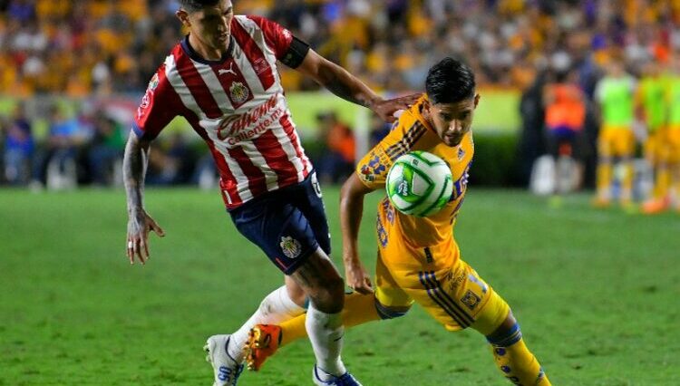 Chivas vs Tigres: Pronóstico y momios; ¿quien será campeón de Liga MX CL23?