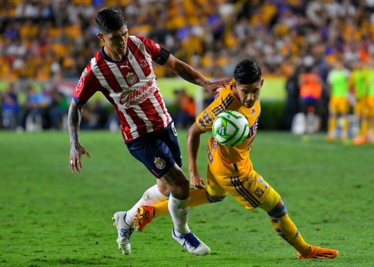 Chivas vs Tigres: Pronóstico y momios; ¿quien será campeón de Liga MX CL23?