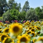 Los puntos de conversación más importantes antes del Giro d'Italia Donne - Vista previa