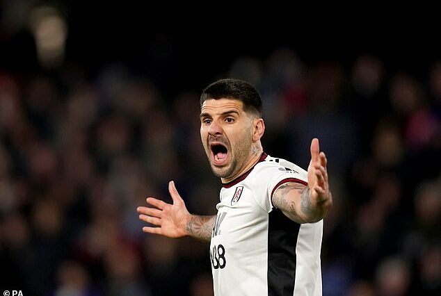 Según los informes, la estrella del Fulham, Aleksandar Mitrovic, dijo que nunca más quiere volver a jugar para el club.