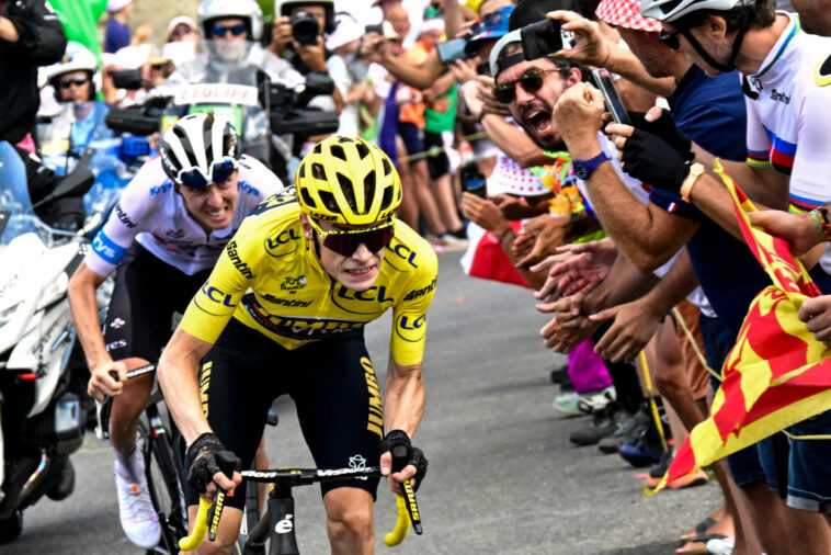 El líder del Tour de Francia, Vingegaard, cava profundo pero resiste el ataque de las montañas de Pogacar