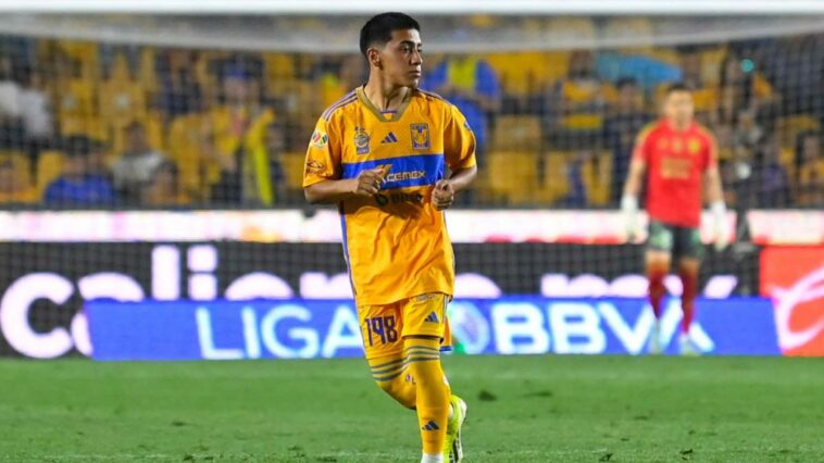 Diego Chicha Sánchez, joya de los Tigres UANL que debutaron este torneo Clausura 2024