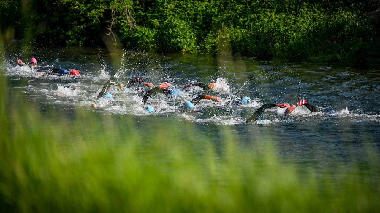 Desafía el campeonato de natación