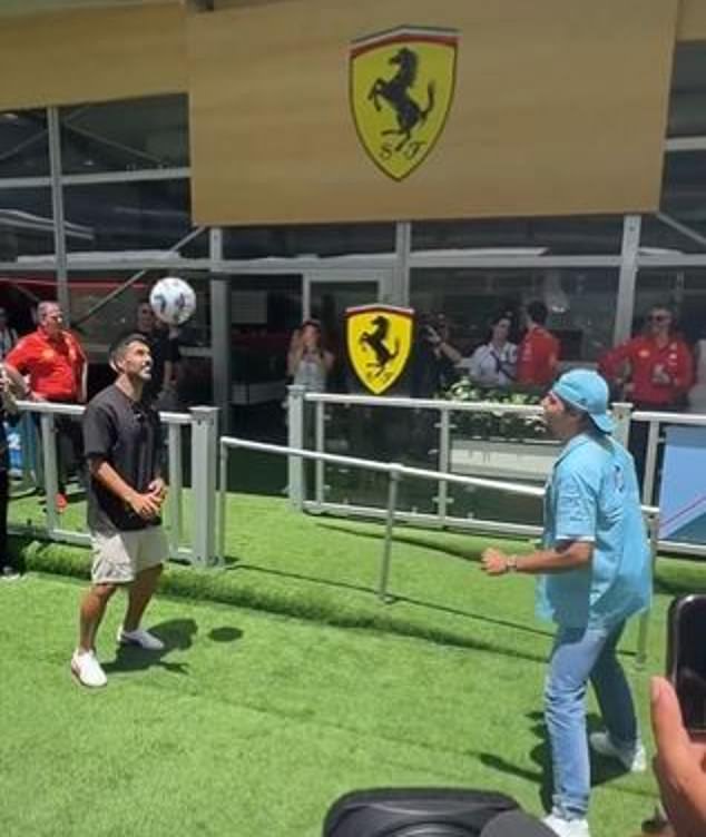 Sainz y Suárez intercambiaron cabezazos durante una docena de segundos ante una gran multitud.