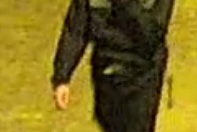 La policía ha publicado imágenes de CCTV del sospechoso de apuñalar a Bournemouth el domingo (en la foto)