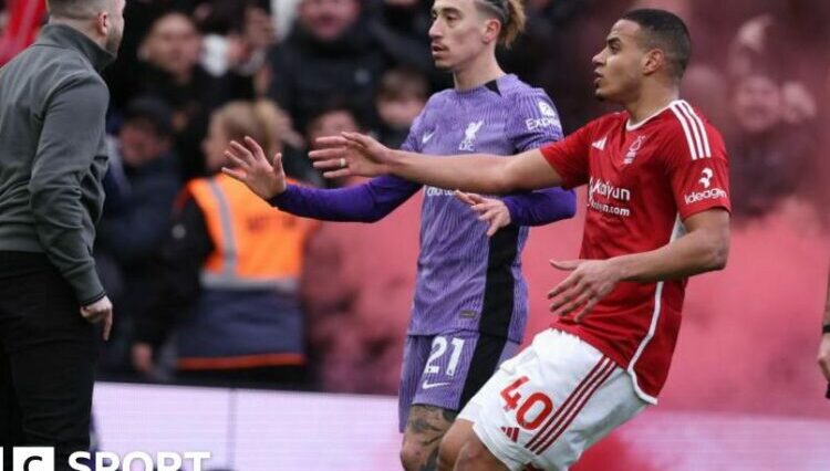 Nottingham Forest fan attempts to confront the referee