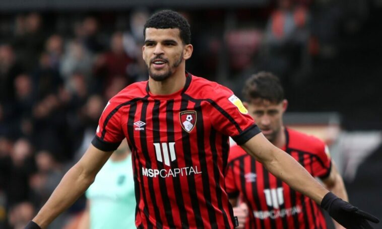 La estrella del Bournemouth, Dominic Solanke