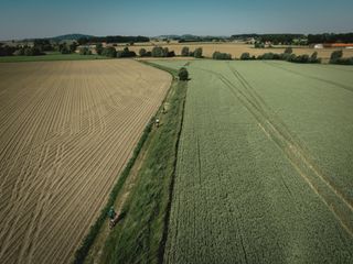 Brezales