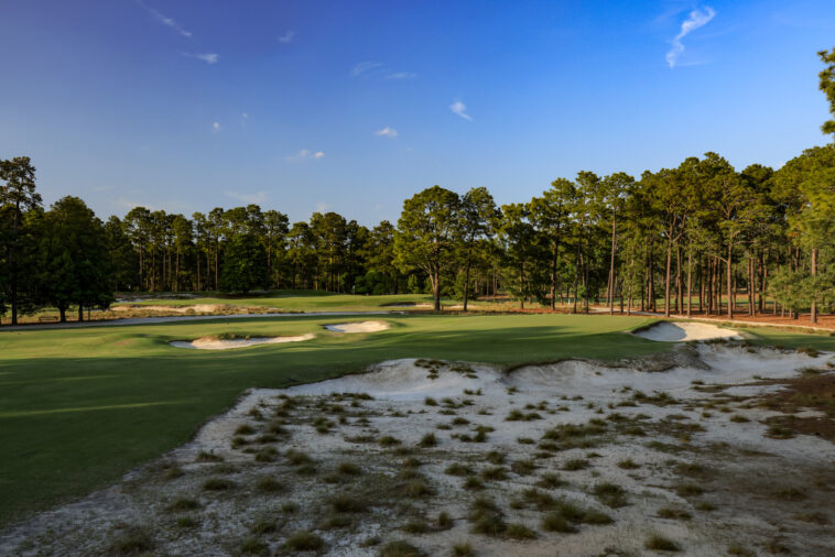 VISTA PREVIA DEL 124º US OPEN - Noticias de golf