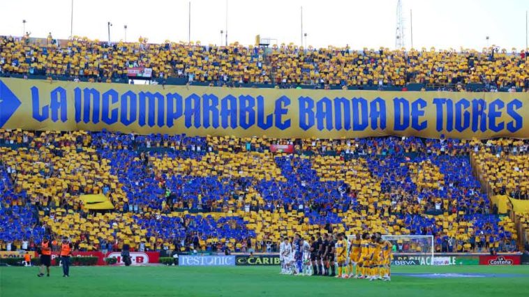 Tigres debe poner una buena cantidad de dinero para reforzarse en este torneo Apertura 2024