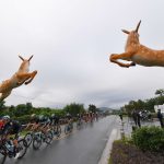 Ciervos salvajes causan estragos en la Vuelta a España, dejando a ciclistas heridos, portaequipajes de los coches del equipo y bicicletas dañadas