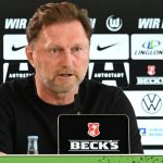 El entrenador del Wolfsburgo, Ralph Hasenhüttl, critica a los aficionados – "Friedhof"