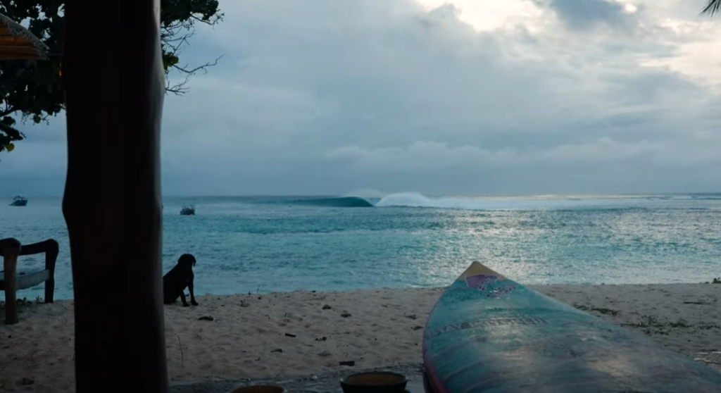 BUSCANDO EMPLEO EN LAS ISLAS MENTAWAI