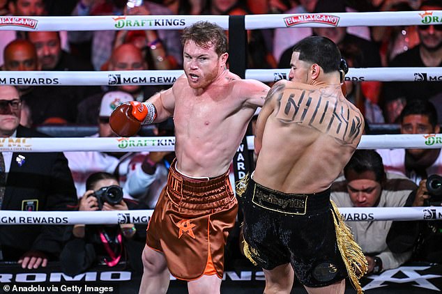 La victoria por decisión unánime de Canelo Álvarez sobre Edgar Berlanga en Las Vegas el sábado generó 17 millones de dólares en ventas de entradas y 650.000 ventas de PPV.