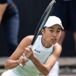 Zhang Shuai