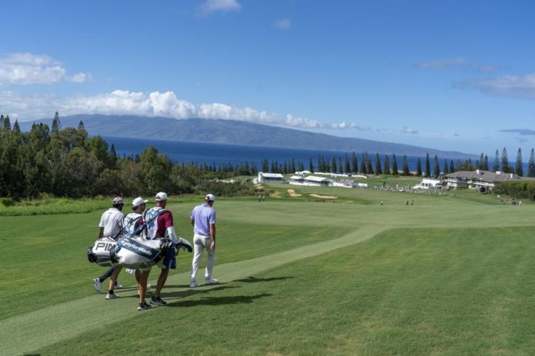 Sahith Theegala y Scottie Scheffler recorren el hoyo 18 durante la ronda final del torneo Sentry 2024 en el campo Plantation de Kapalua. (Kyle Terada-USA TODAY Sports)