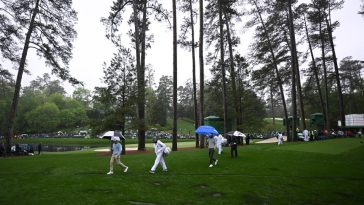 Los pinos del Augusta National, vistos aquí en 2023. (Foto de Ross Kinnaird/Getty Images)